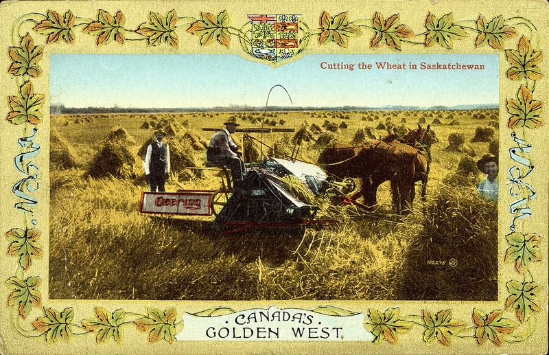 1911 Canada's Golden Harvest